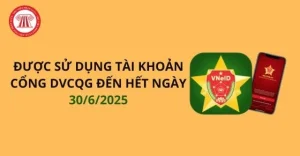 Agencies and organizations may use accounts issued by the National Public Service Portal until June 30, 2025. (Image from the Internet)